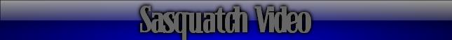 Sasquatch Video